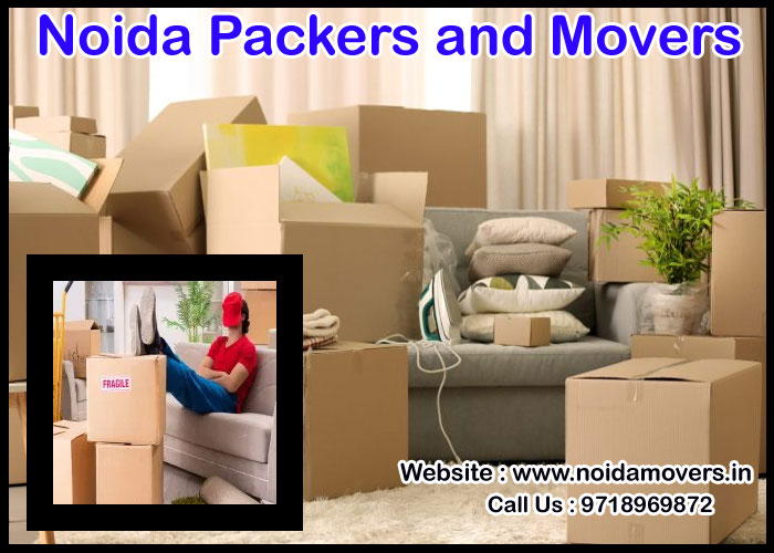 Noida Packers And Movers Sector 133