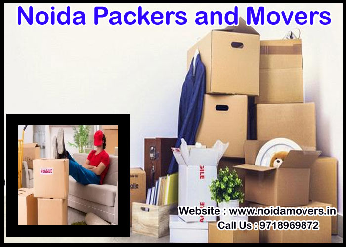 Noida Packers And Movers Sector 151