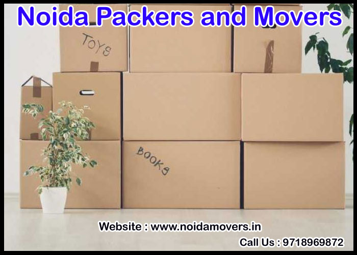 Noida Packers And Movers Sector - 35