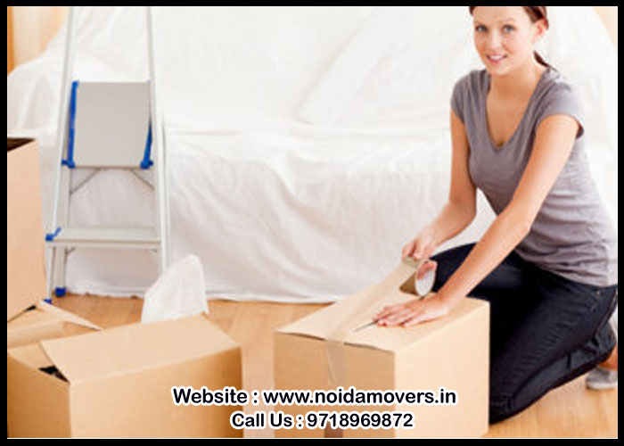 Noida Packers And Movers Sector - 40