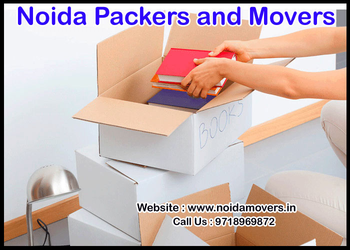 Noida Packers And Movers Sector 63