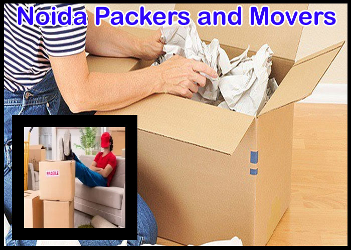 Noida Packers And Movers Sector 66